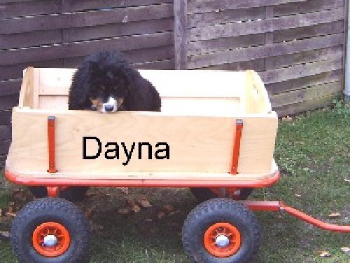 dayna_001