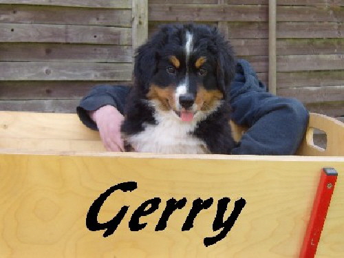 gerry_001