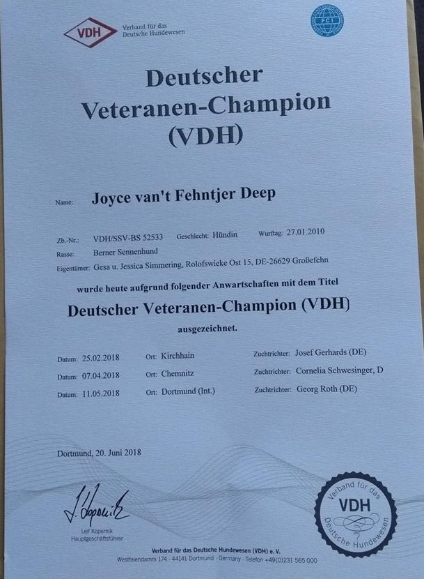 Deutscher Vet. VDH