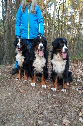 Waldsparziergang 140118 (19)