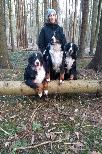 Waldsparziergang 140118 (2)