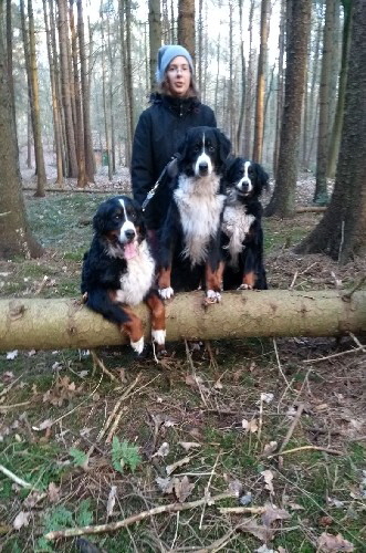 Waldsparziergang 140118 (3)